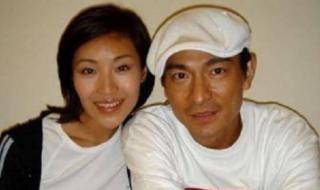 刘德华干过赖文慧吗 刘德华干过赖文慧吗